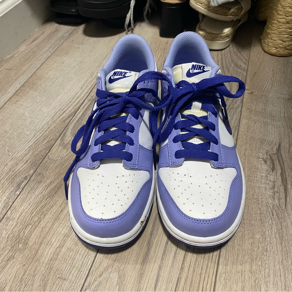 BRAND NEW WORN TWICE NIKE DUNKS